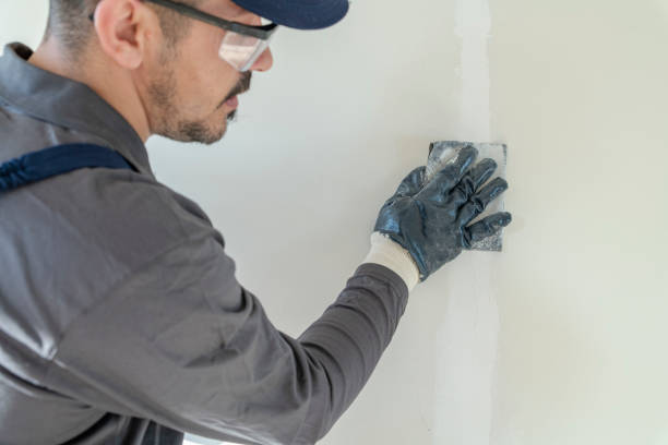 Best Attic Mold Removal  in Salem, UT